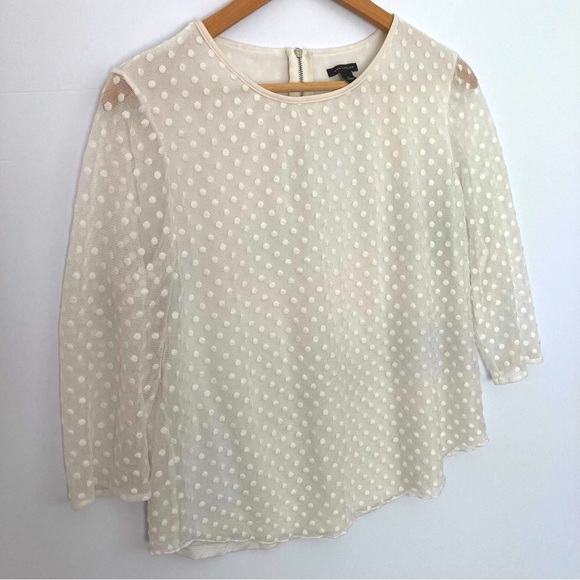 Ann Taylor Swiss Dot Ivory Mesh Blouse Lined 3/4 Sleeves Large - Picture 6 of 7